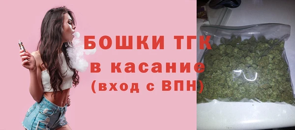 стафф Краснотурьинск